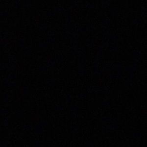 Meet your Posher, Brady